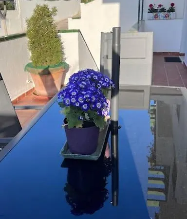 El Nido Del Ama